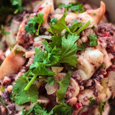 Griechischer Octopussalat - Gialtra