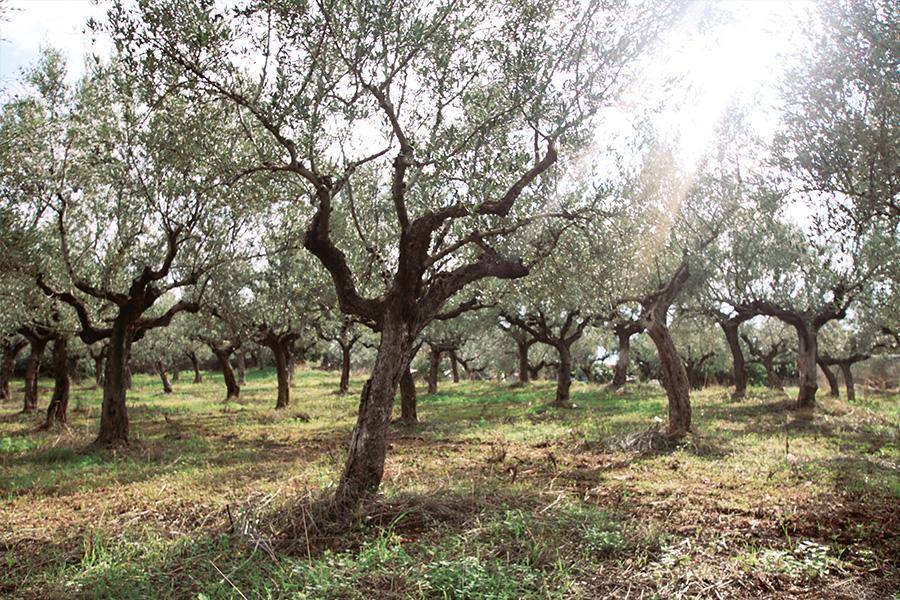 Foto: Christine Moik