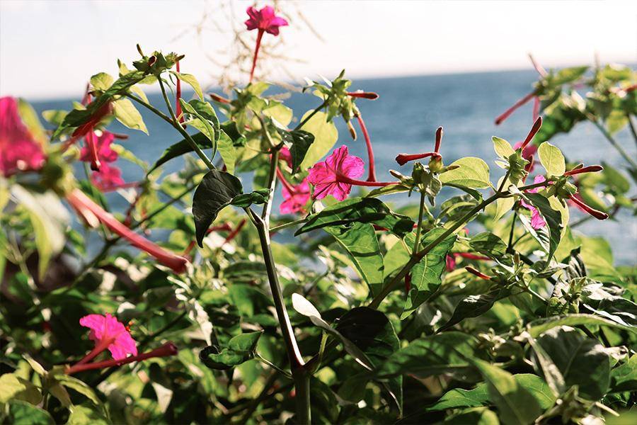 Foto: Christine Moik